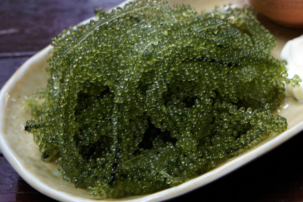 Edible Japanese Seaweed 日本人が食べる海藻 - WA-SHOKU Japanese Jobs & Foods.